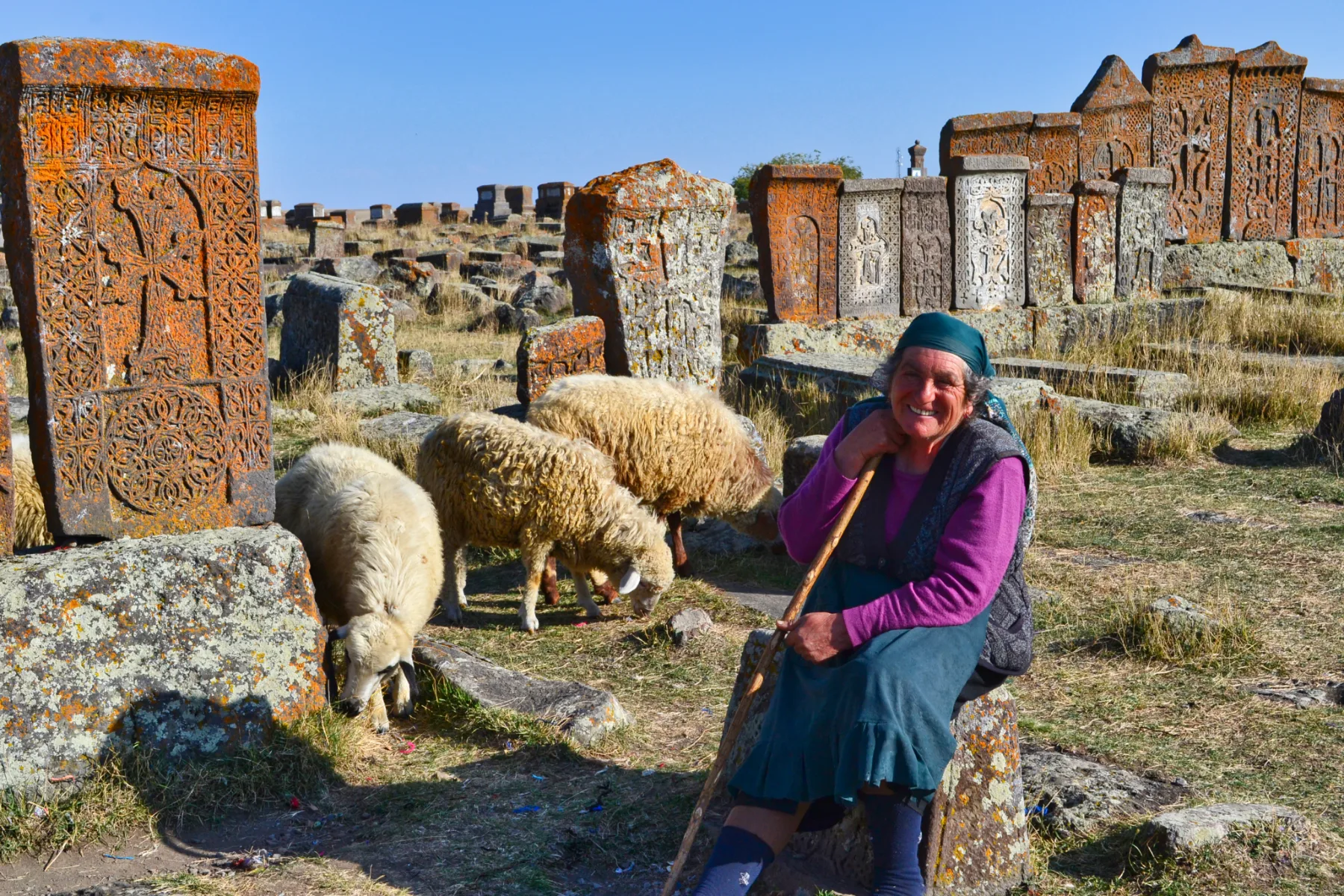 Una pastora con sus ovejas entre jachkares armenios
