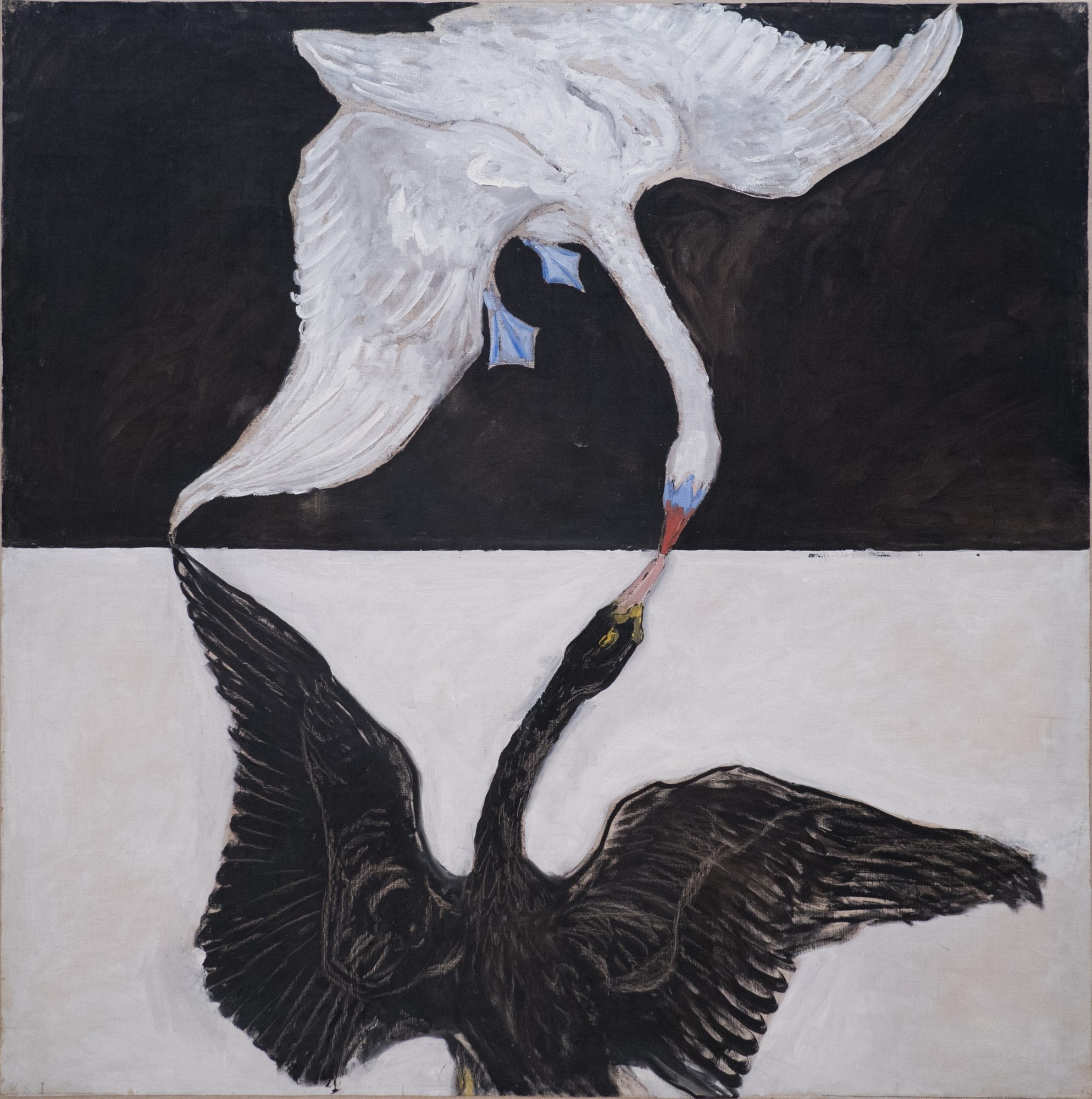 El cisne, n.º 1: un cisne blanco sobre fondo negro y un cisne negro sobre fondo blanco se tocan con el pico en el centro.