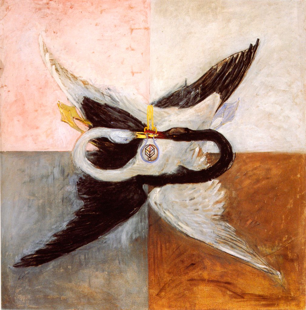 Serie El cisne: un cisne blanco y otro negro entrelazados sobre un fondo dividido en cuatro colores.