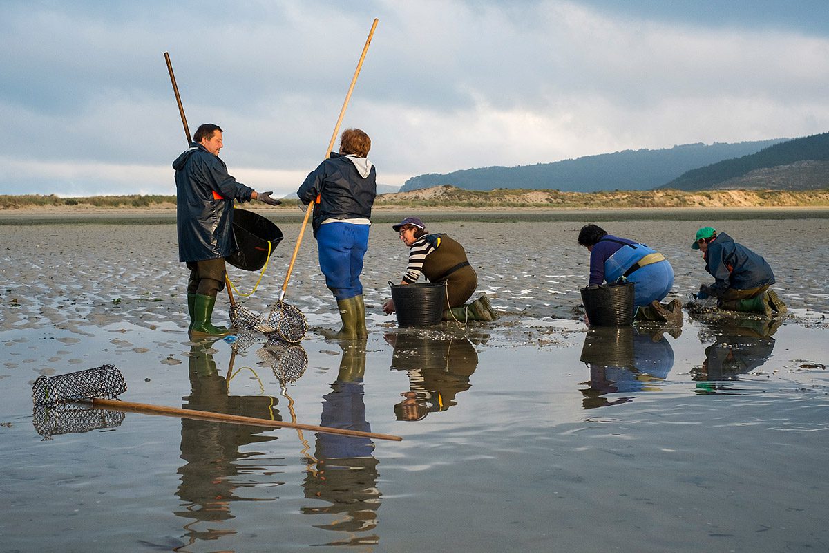 Un grupo de mariscadoras en Galicia
