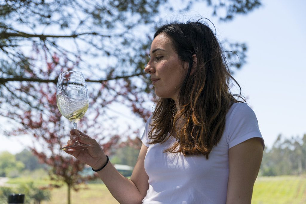 Cata de vino Albariño