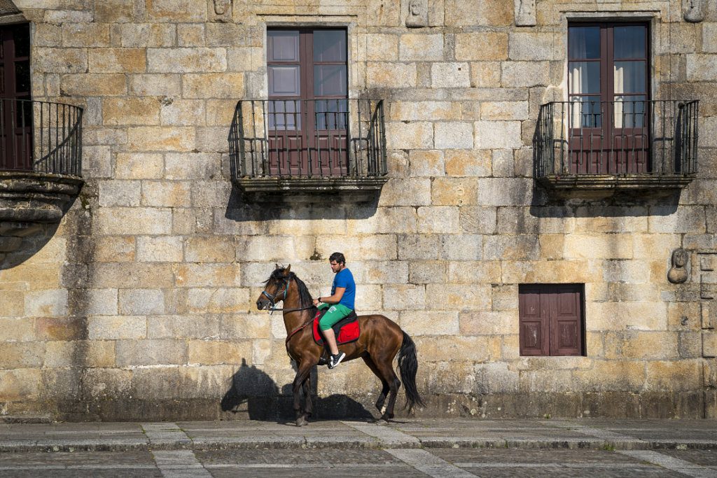 Pazo de Fefiñáns, Cambados