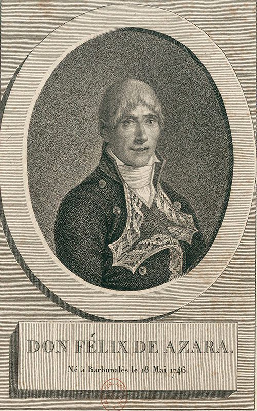 Retrato de Félix de Azara