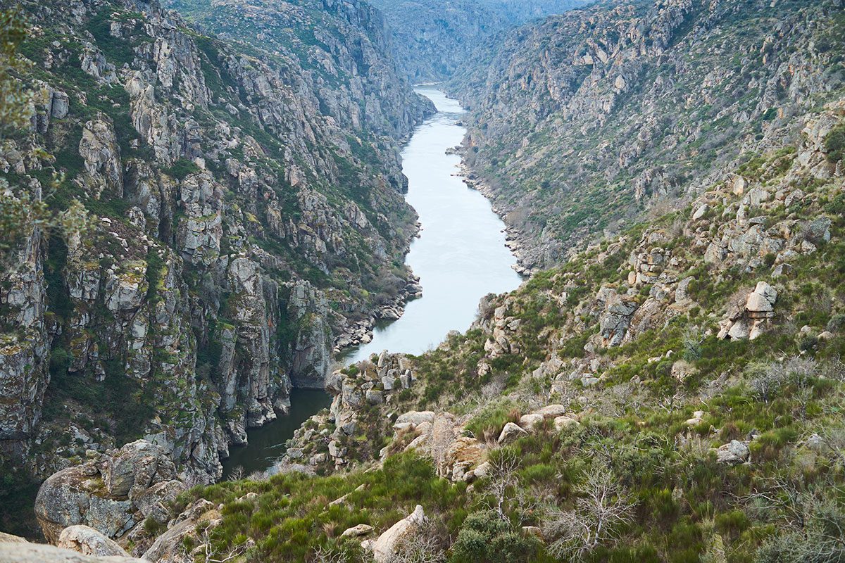 Cañones del Duero