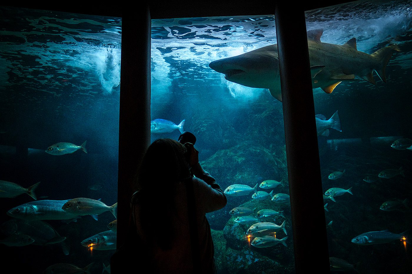 Aquarium Finisterrae A Coruña