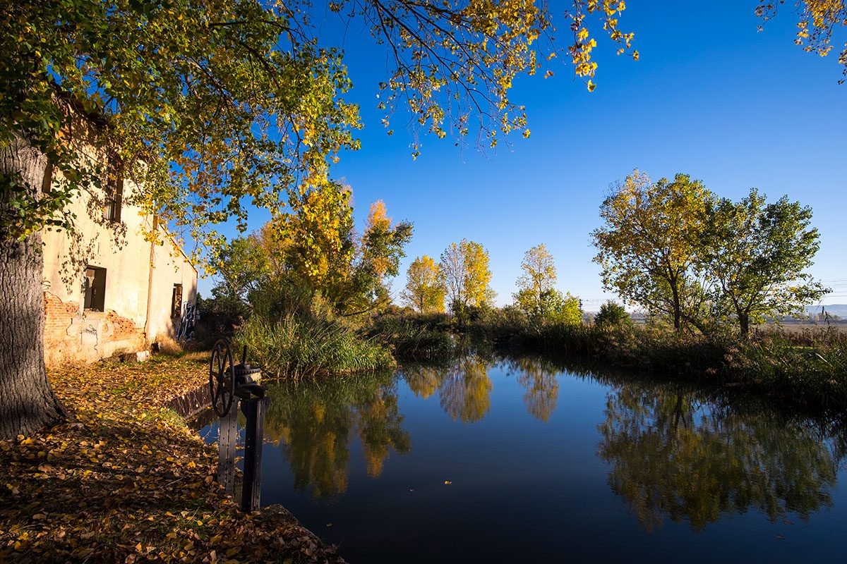 Canal de Castilla - Cigales