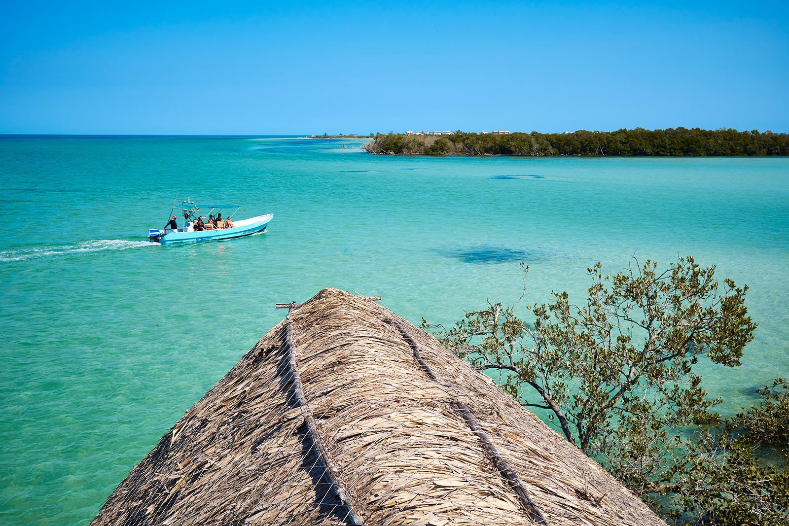 Isla Pasión Holbox