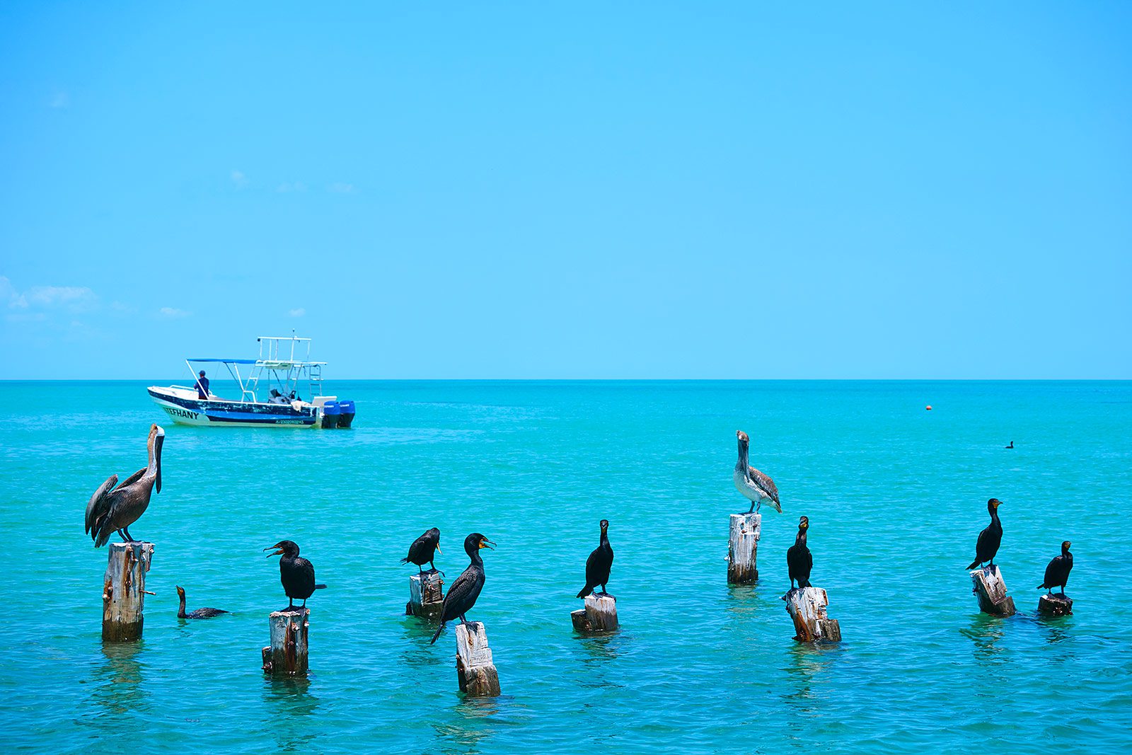 Holbox Puerto