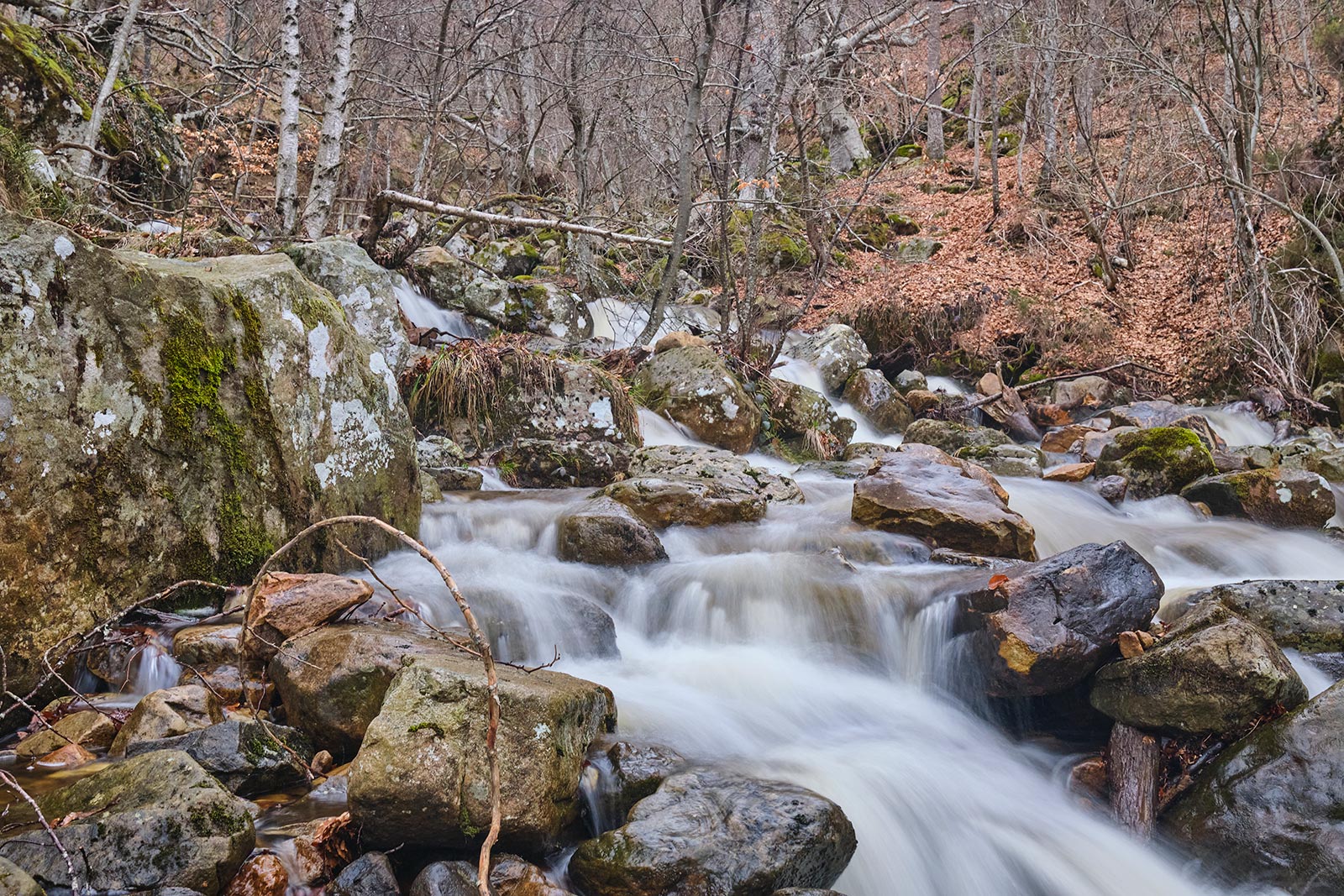 Arroyo San Miguel La Salceda