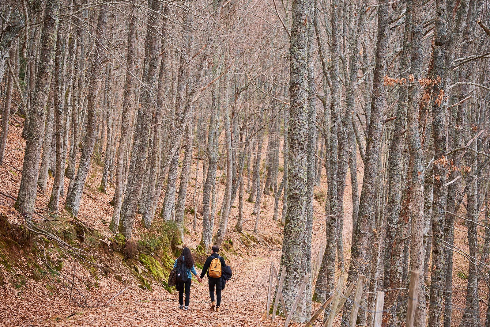 Ruta La Salceda Burgos