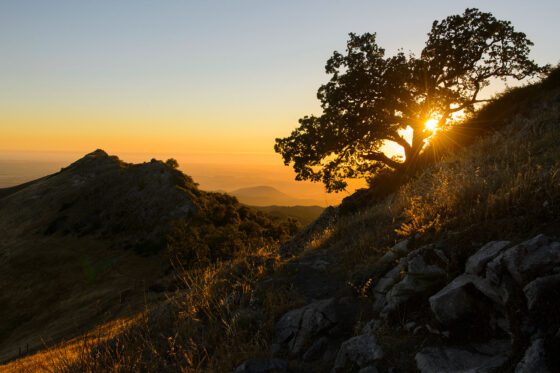 California