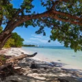 Playa tropical en los Cayos, Florida