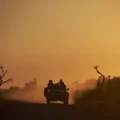 Parque Natural de Madikwe