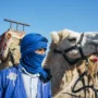 Dromedario en el desierto de Dajla