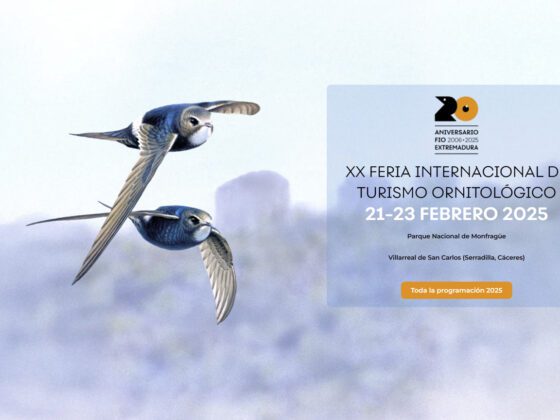 Cartel de la FIO 2025 por el artista británico Ian Lewington