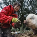 Encitruf, caza de trufa en Soria