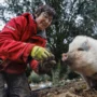 Encitruf, caza de trufa en Soria