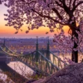 Budapest en primavera, desde la colina Gellért