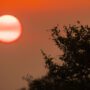 El sol del atardecer en la sabana sudafricana | © Annaïs Pascual
