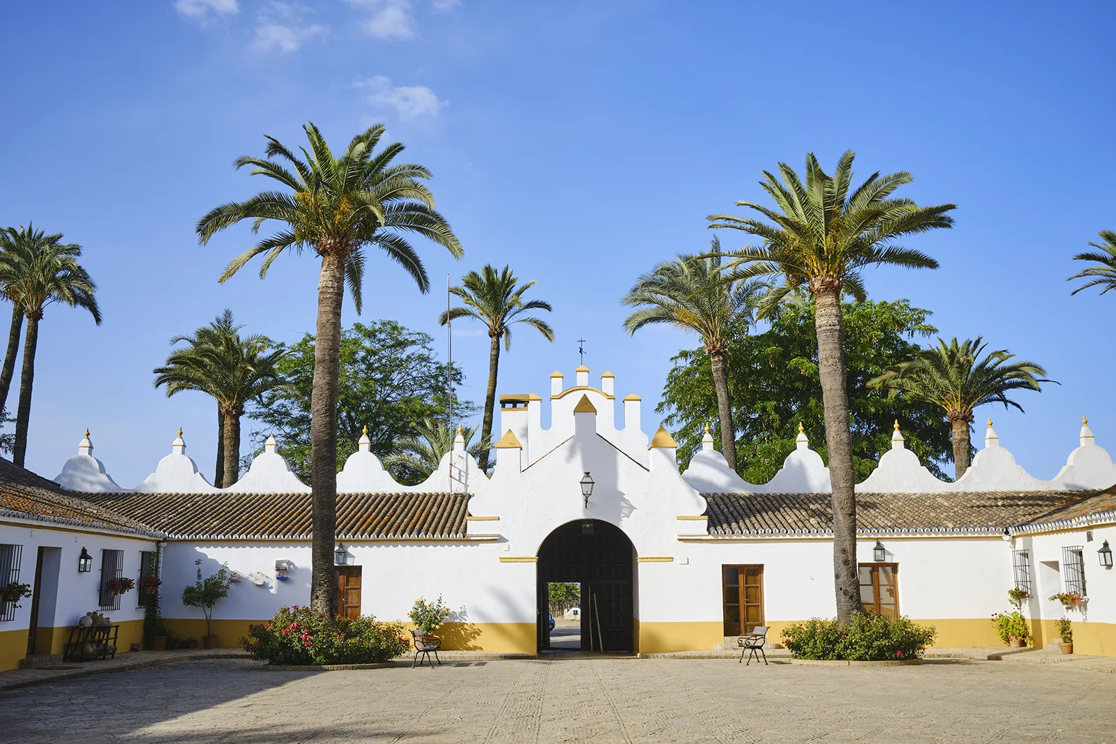 El Palacio del Rey, Doñana