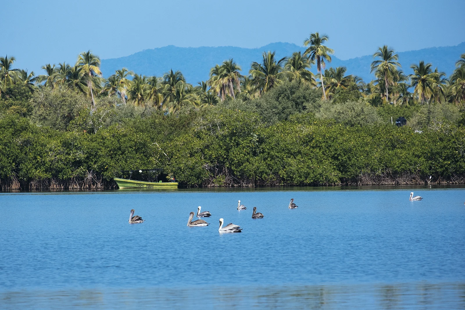 Barra de Potosí