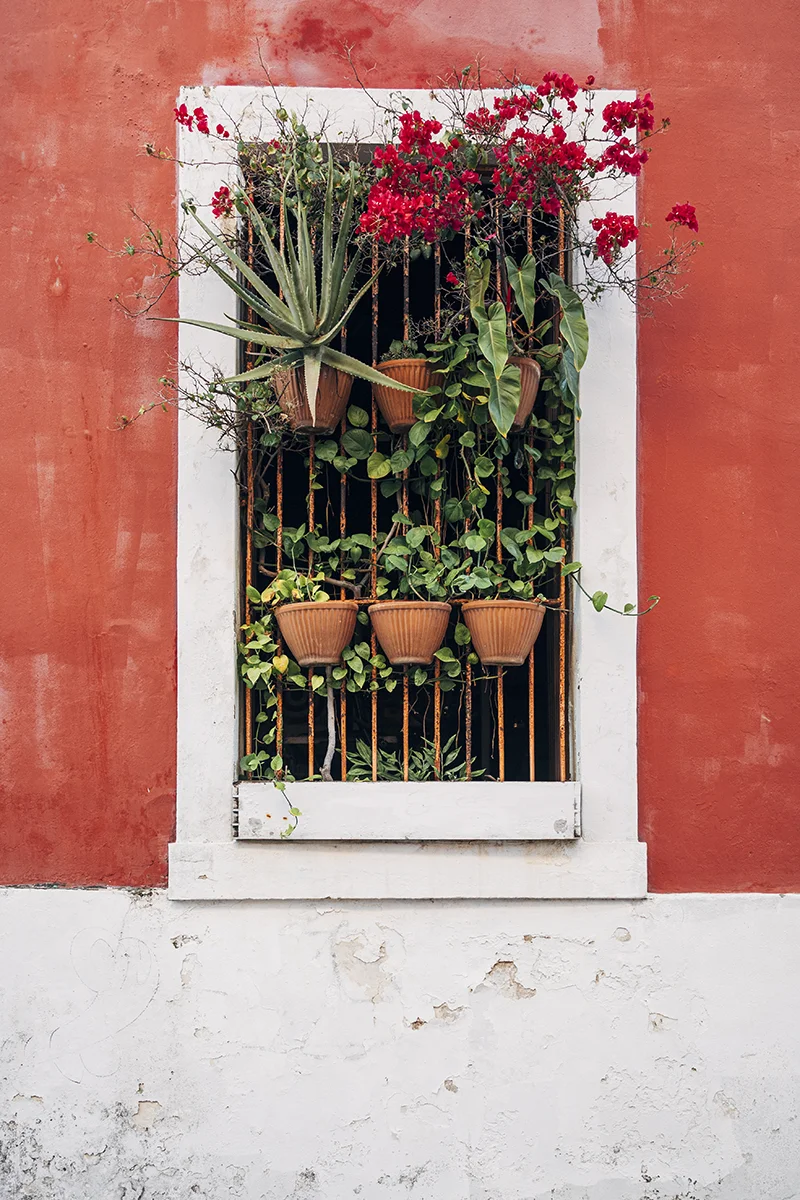 Calles del Viejo San Juan