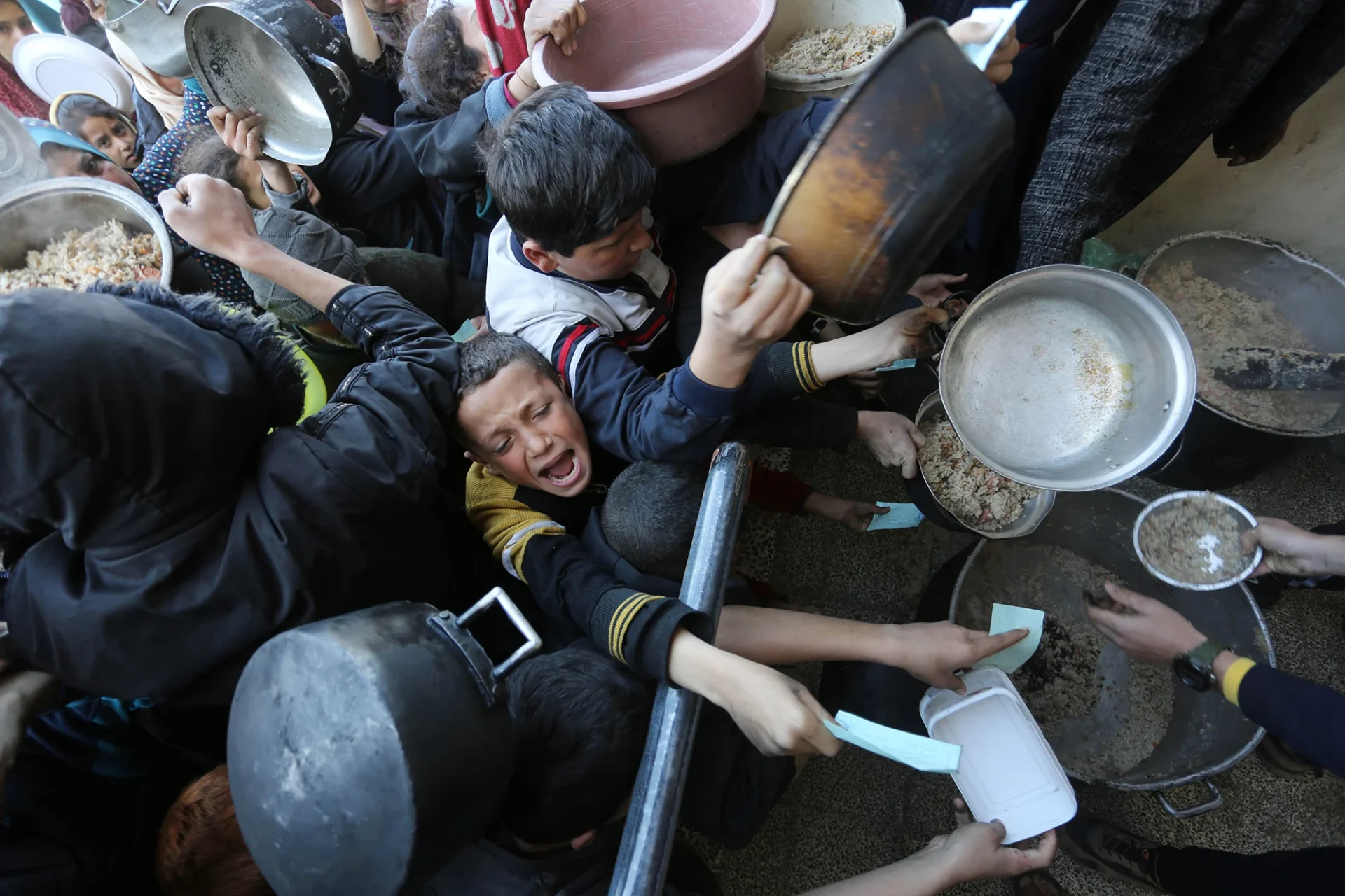 Gaza: a través de sus ojos