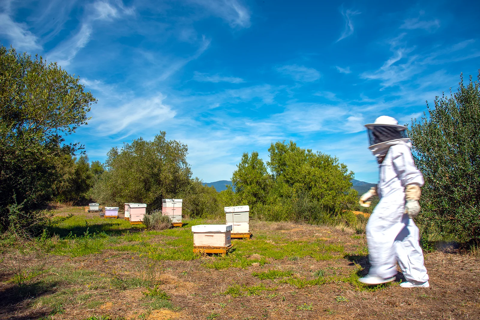 Abellaires Empordanesos