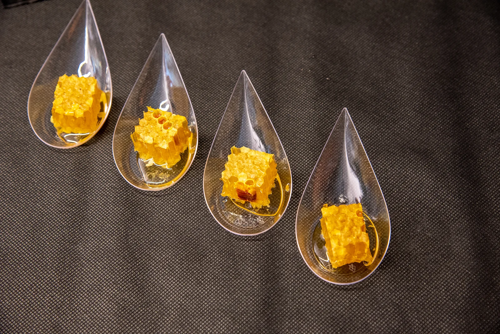 Cata de miel en Abellaires Empordanesos