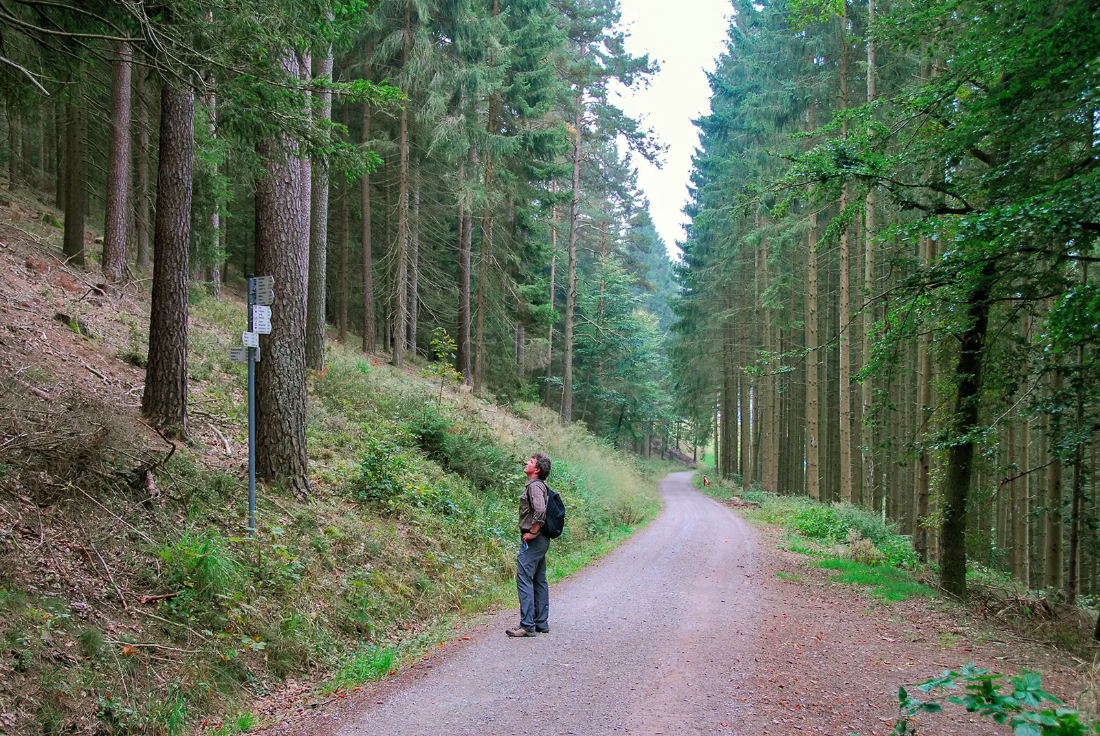 Paisaje de Baiersbronn