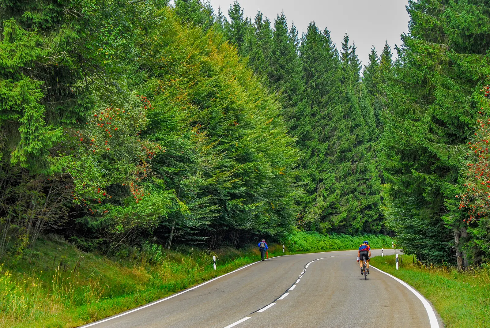 Carretera en la Selva Negra cerca de Furtwangen