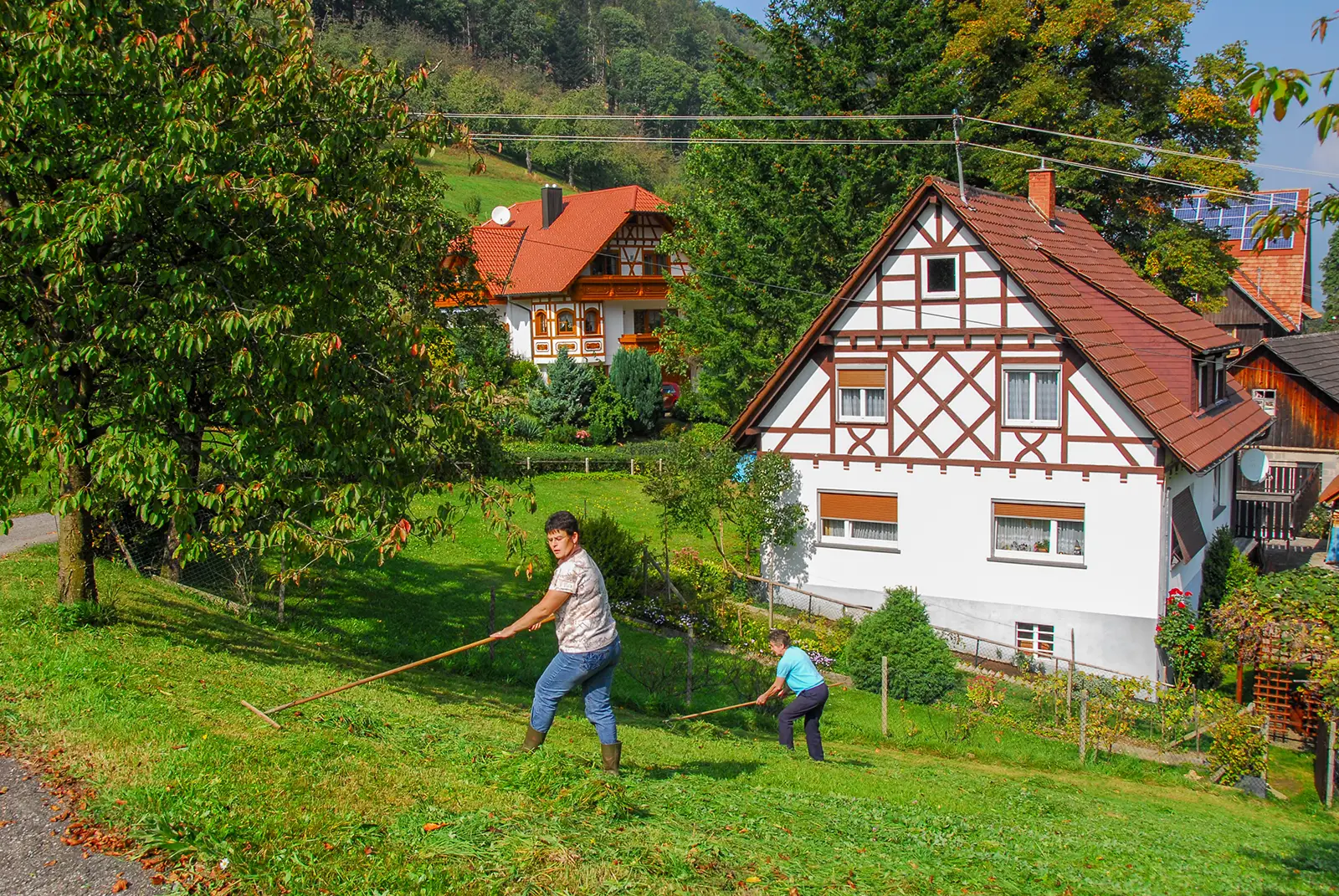 Vista de Ottenhöfen