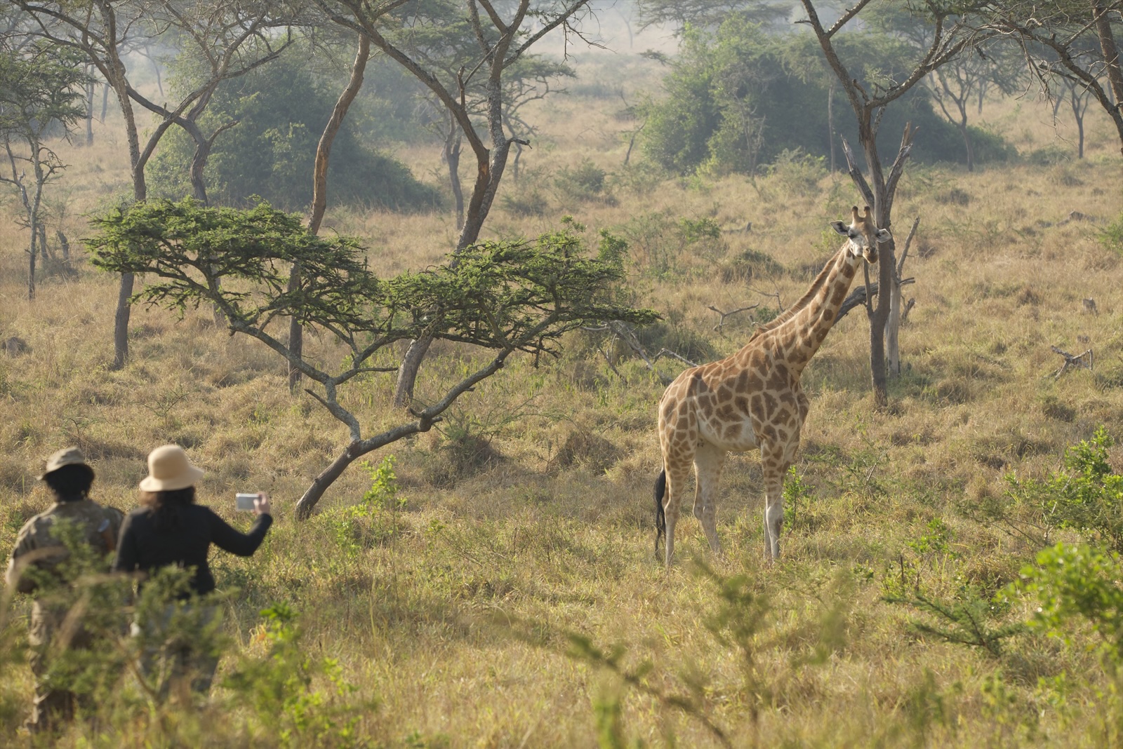 Safari en Uganda