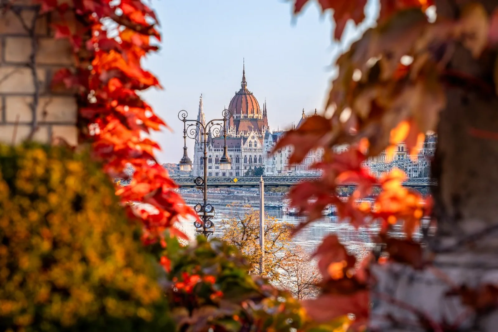 El Parlamento de Budapest visto entre hojas rojas y anaranjadas en otoño.