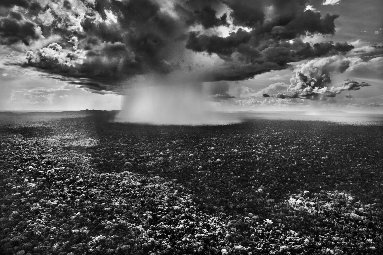 Lluvia intensa en el parque nacional de la Sierra del Divisor