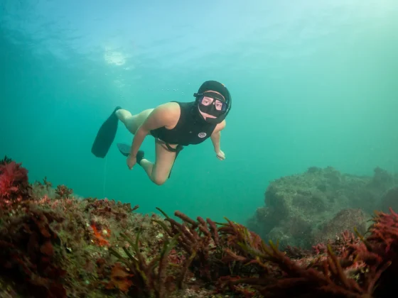 Pippa Ehrlich, directora de 'My Octopus Teacher', en la costa de Gijón